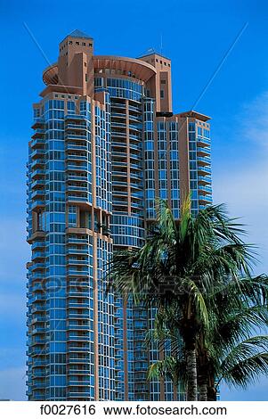 United States, Florida, Miami, building and palm tree View Large Photo Image Stock Photograph - United States, Florida, Miami, building and palm tree. Fotosearch