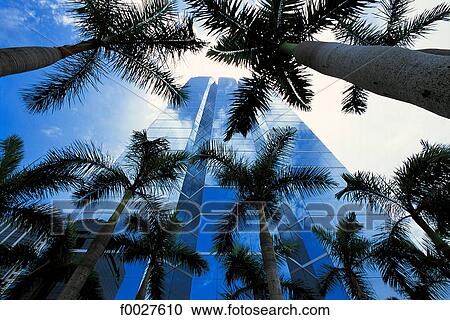 United States, Florida, Miami, palm trees and building View Large Photo Image Stock Image - United States, Florida, Miami, palm trees and building. Fotosearch