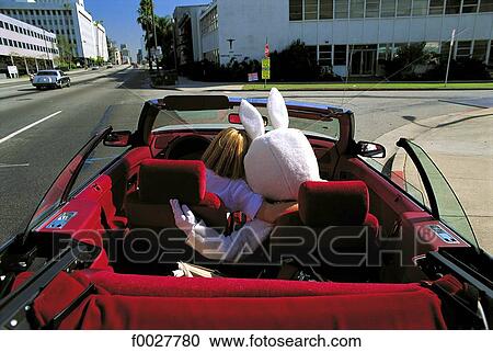 United States, California, Los Angeles, blonde and rabbit in a converrtible View Large Photo Image Stock Image - United States, California, Los Angeles, blonde and rabbit in a converrtible. Fotosearch