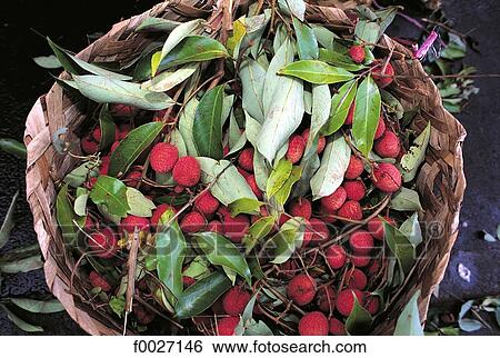 Reunion, lychees fruits on sale View Large Photo Image Stock Photograph - Reunion, lychees fruits on sale. Fotosearch