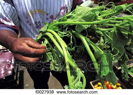 Reunion, market, bredes vegetables for sale View Large Photo Image Stock Photo - Reunion, market, bredes vegetables for sale. Fotosearch