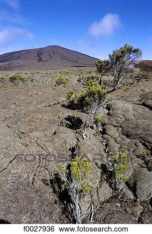 Reunion, Piton de la Fournaise volcano, Dolomieux crater View Large Photo Image Stock Photograph - Reunion, Piton de la Fournaise volcano, Dolomieux crater. Fotosearch