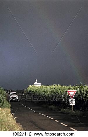 Reunion, rainbow above sugar cane fields View Large Photo Image Stock Image - Reunion, rainbow above sugar cane fields. Fotosearch