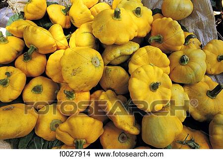Mauritius, custard marrows View Large Photo Image Picture - Mauritius, custard marrows. Fotosearch