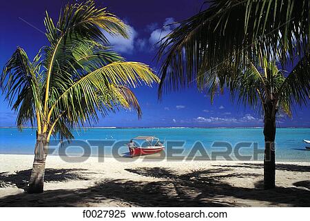 Mauritius, Morne Brabant, beach and boat View Large Photo Image Stock Photography - Mauritius, Morne Brabant, beach and boat. Fotosearch