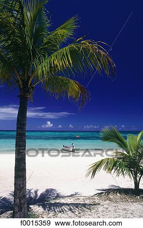 Stock Photo - Mauritius, Morne Brabant. Fotosearch