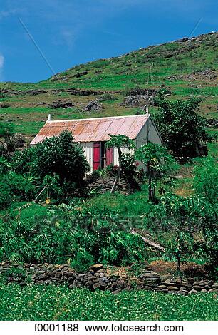 Mauritius, Rodrigues, house View Large Photo Image Stock Photo - Mauritius, Rodrigues, house. Fotosearch