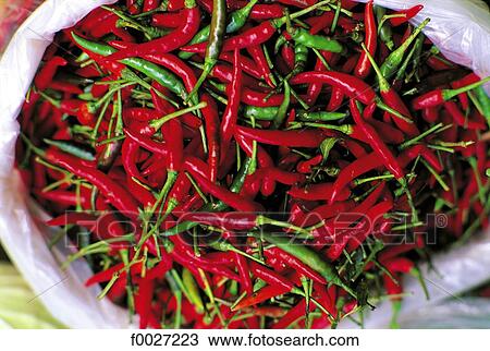 Seychelles, peppers View Large Photo Image Stock Image - Seychelles, peppers. Fotosearch