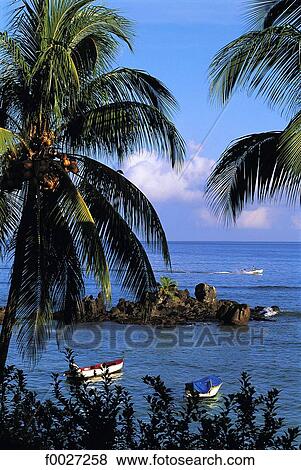 Seychelles, Praslin, costal landscape View Large Photo Image Stock Photo - Seychelles, Praslin, costal landscape. Fotosearch