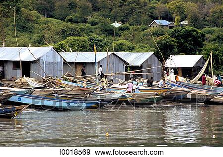 Kenya, Lake Victoria, Mfangano island, dhows View Large Photo Image Stock Photo - Kenya, Lake Victoria, Mfangano island, dhows. Fotosearch