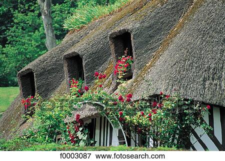 France, Normandy, Norman house, thatched roof View Large Photo Image Stock Photo - France, Normandy, Norman house, thatched roof. Fotosearch