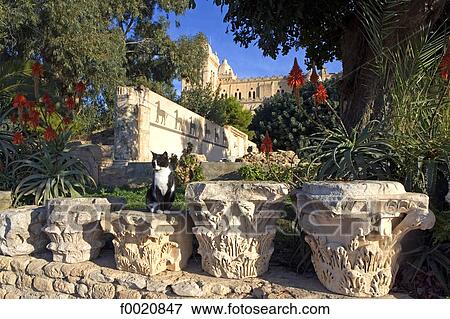 Stock Photo - Tunisia, Carthage, archaeological museum, capitals whith acanthus leaves. Fotosearch