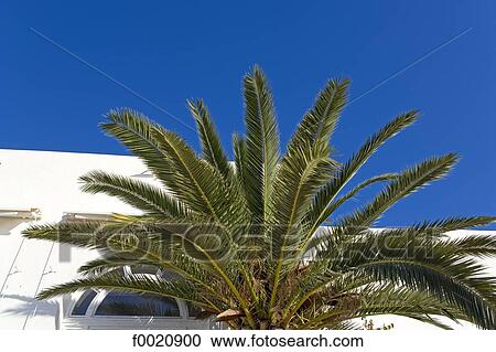 Tunisia, Sidi Bou Said View Large Photo Image Stock Image - Tunisia, Sidi Bou Said. Fotosearch