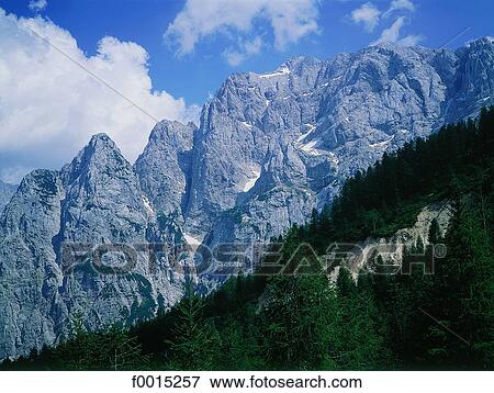 Slovenia, Apls, upper Soca valley, mountains and pine forest View Large Photo Image Stock Photo - Slovenia, Apls, upper Soca valley, mountains and pine forest. Fotosearch