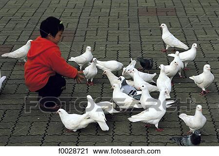 China, Shanghai, people's square, children and doves View Large Photo Image Stock Image - China, Shanghai, people's square, children and doves. Fotosearch