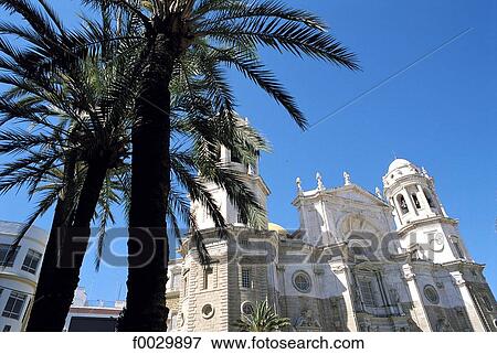 Spain, Andalusia, Cadix, cathedral and palme trees View Large Photo Image Stock Photo - Spain, Andalusia, Cadix, cathedral and palme trees. Fotosearch