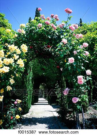 Stock Photo - Spain, Andalusia, Granada, the Alhambra, gardens of the Generalife at springtime. Fotosearch