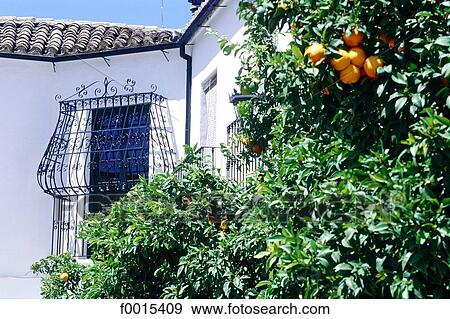 Stock Photo - Spain, Andalusia, Ronda, finely worked balcony et orange tree. Fotosearch