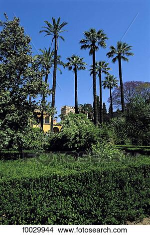Spain, Andalusia, Seville, Alcazar gardens View Large Photo Image Picture - Spain, Andalusia, Seville, Alcazar gardens. Fotosearch