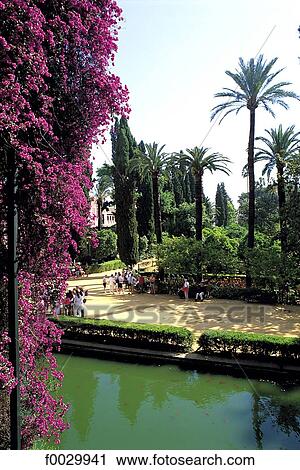 Spain, Andalusia, Seville, Alcazar gardens View Large Photo Image Stock Image - Spain, Andalusia, Seville, Alcazar gardens. Fotosearch