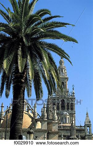 Spain, Andalusia, Seville, la Giralda, the cathedral belfry View Large Photo Image Stock Image - Spain, Andalusia, Seville, la Giralda, the cathedral belfry. Fotosearch