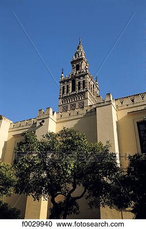 Stock Image - Spain, Andalusia, Seville, la Giralda, the cathedral belfry. Fotosearch