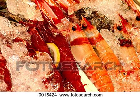Picture - Spain, Andalusia, Seville, scampi and gambas. Fotosearch