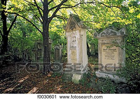 Autriche, Vienne, cimetière centrale, tombes View Large Photo Image Stock Image - Autriche, Vienne, cimetière centrale, tombes. Fotosearch