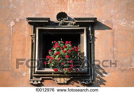 Italie, Rome, fenêtre fleurie View Large Photo Image Stock Photograph - Italie, Rome, fenêtre fleurie. Fotosearch