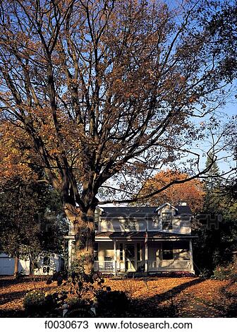 Stock Image - Canada, Ontario, Niagara-on-the-Lake en automne. Fotosearch