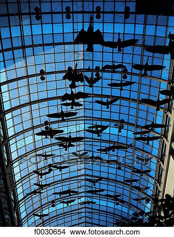 Canada, Ontario, Toronto, plafond de l'Eaton Center, "flight stop", oeuvre de Michael Snow View Large Photo Image Picture - Canada, Ontario, Toronto, plafond de l'Eaton Center, "flight stop", oeuvre de Michael Snow. Fotosearch