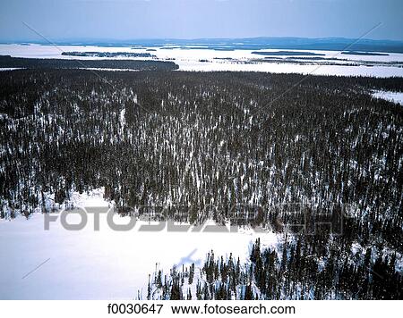 Stock Photo - Canada, Québec, Grand Nord, survol d'une forêt en hiver. Fotosearch