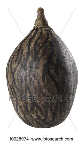 World symbols: Calabash (Africa) View Large Photo Image Picture - World symbols: Calabash (Africa). Fotosearch