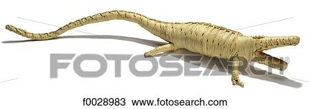 World symbols: Wicker crocodile (Africa) View Large Photo Image Stock Image - World symbols: Wicker crocodile (Africa). Fotosearch