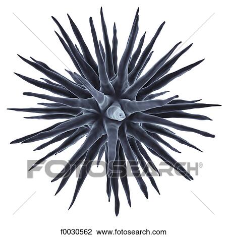 Digital creation: virus View Large Photo Image Stock Image - Digital creation: virus. Fotosearch
