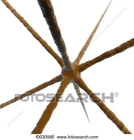Digital creation: virus View Large Photo Image Stock Image - Digital creation: virus. Fotosearch