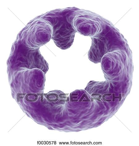 Digital creation: virus View Large Photo Image Stock Photo - Digital creation: virus. Fotosearch