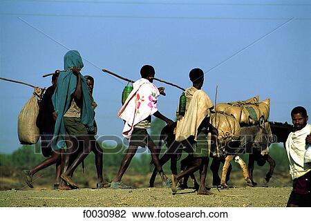 Stock Image - Ethiopia, Bahar Dar, towards market, young boys and donkeys. Fotosearch