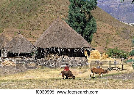 Stock Photography - Ethiopia, Wollo region, Amhara habitations. Fotosearch