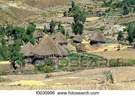 Ethiopia, Wollo region, Amhara village View Large Photo Image Stock Photograph - Ethiopia, Wollo region, Amhara village. Fotosearch