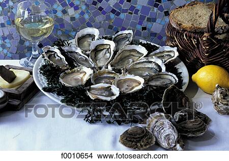 France, Brittany, oysters of Cancale View Large Photo Image Picture - France, Brittany, oysters of Cancale. Fotosearch