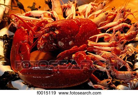France, Brittany, Trébeurden, seafood plate View Large Photo Image Stock Photo - France, Brittany, Trébeurden, seafood plate. Fotosearch