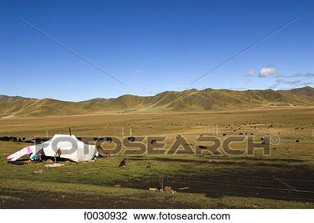 Stock Image - China, Sichuan, south of Hongyuan, nomad dwelling. Fotosearch