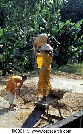 Stock Photography - Vietnam, Nha Trang, Buddhist monastery, two monks threshing rice. Fotosearch