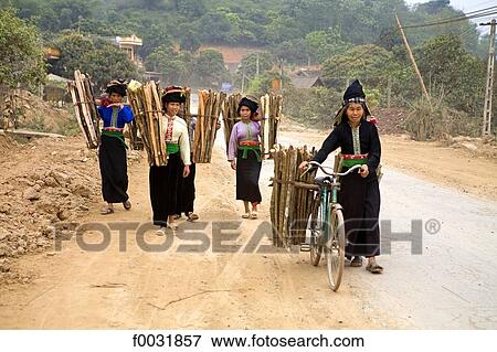 Vietnam, Son La, women carrying woods. View Large Photo Image Stock Photo - Vietnam, Son La, women carrying woods.. Fotosearch