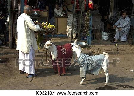 India, New Delhi, market near the Jama Masjid. View Large Photo Image Stock Photo - India, New Delhi, market near the Jama Masjid.. Fotosearch