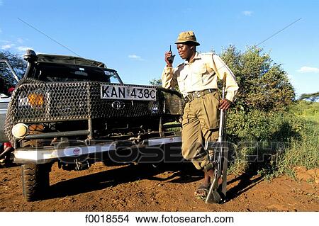 Picture - Kenya, Laikipia, Il Ngwesi park, safari.. Fotosearch