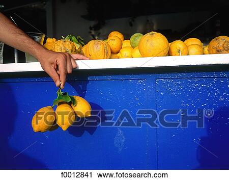 Italy, Naples, Capri, lemons View Large Photo Image Stock Image - Italy, Naples, Capri, lemons. Fotosearch