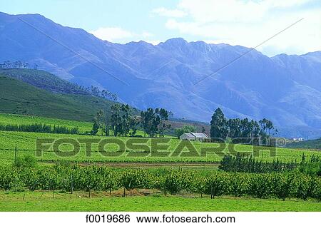 South Africa, near Montagu. View Large Photo Image Stock Photograph - South Africa, near Montagu.. Fotosearch