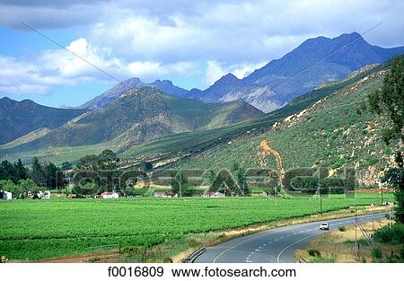 South Africa, wine route. View Large Photo Image Stock Photo - South Africa, wine route.. Fotosearch